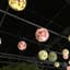 꼬끼요 프로필
