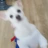리뷰어 프로필