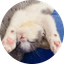 꿍이꿍 프로필