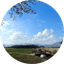 델리먄주 프로필