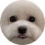 뚬니짱 프로필