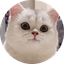 츄츄s2 프로필