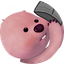 텅장루피 프로필
