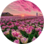 persist_er 프로필