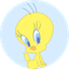 소금탕 프로필